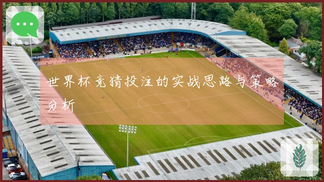 世界杯竞猜投注的实战思路与策略分析