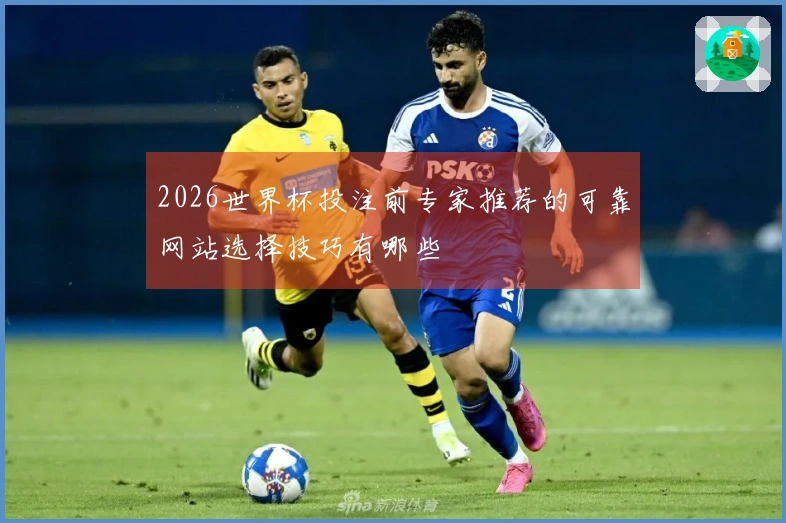 2026世界杯投注前专家推荐的可靠网站选择技巧有哪些
