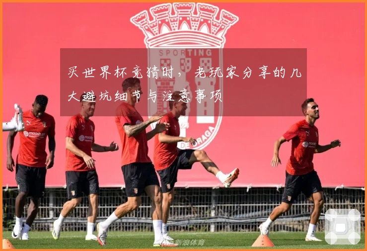 买世界杯竞猜时，老玩家分享的几大避坑细节与注意事项
