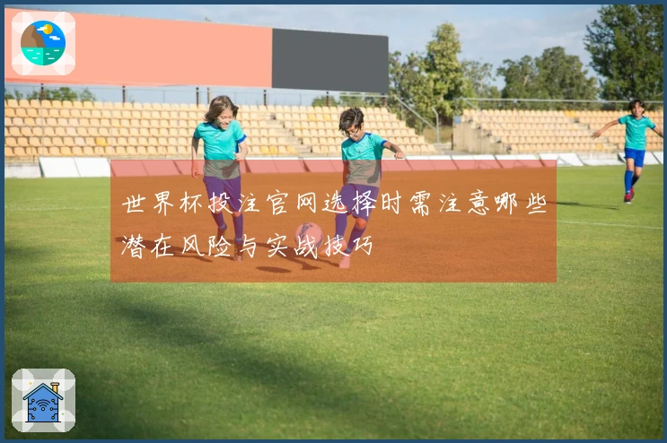 世界杯投注官网选择时需注意哪些潜在风险与实战技巧