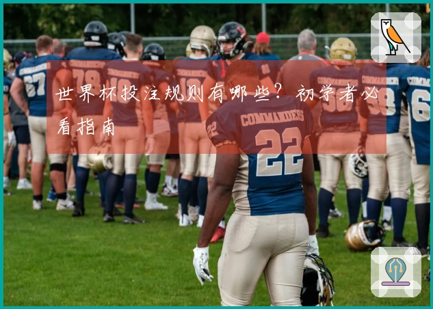 世界杯投注规则有哪些？初学者必看指南