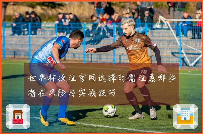 世界杯投注官网选择时需注意哪些潜在风险与实战技巧