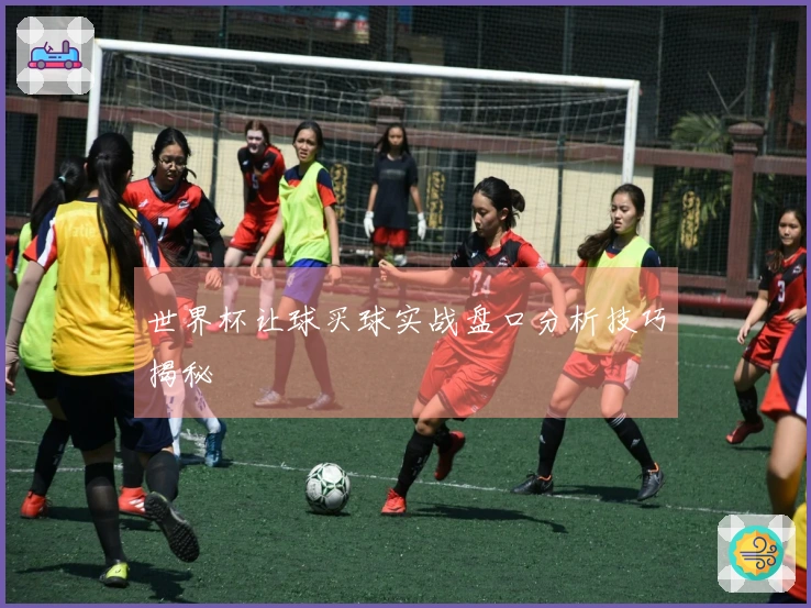 世界杯让球买球实战盘口分析技巧揭秘