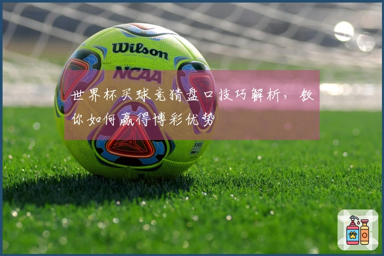 世界杯买球竞猜盘口技巧解析，教你如何赢得博彩优势