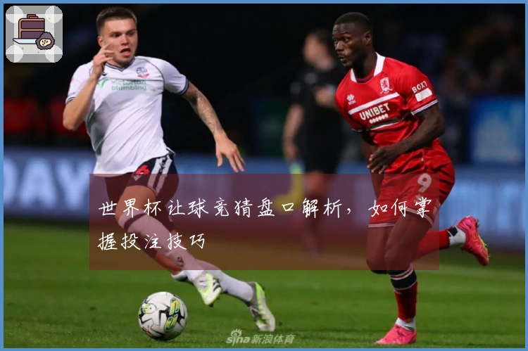 世界杯让球竞猜盘口解析，如何掌握投注技巧