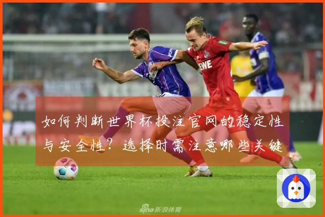 如何判断世界杯投注官网的稳定性与安全性？选择时需注意哪些关键因素？
